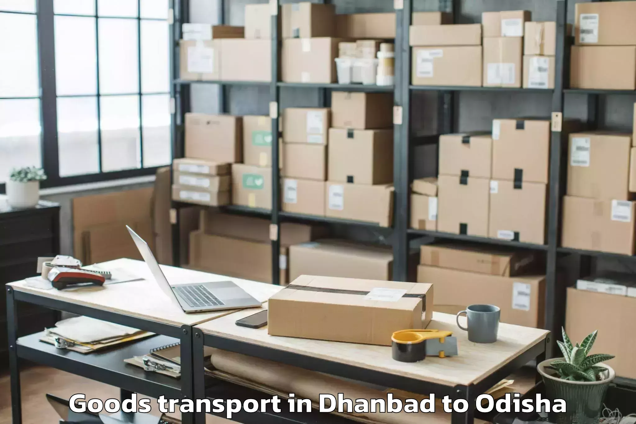 Top Dhanbad to Sarangagarh Goods Transport Available